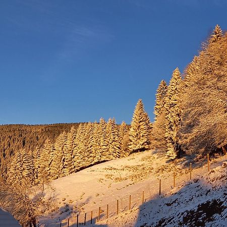 Vila Tourist Farm Arbajter Resnik Exteriér fotografie