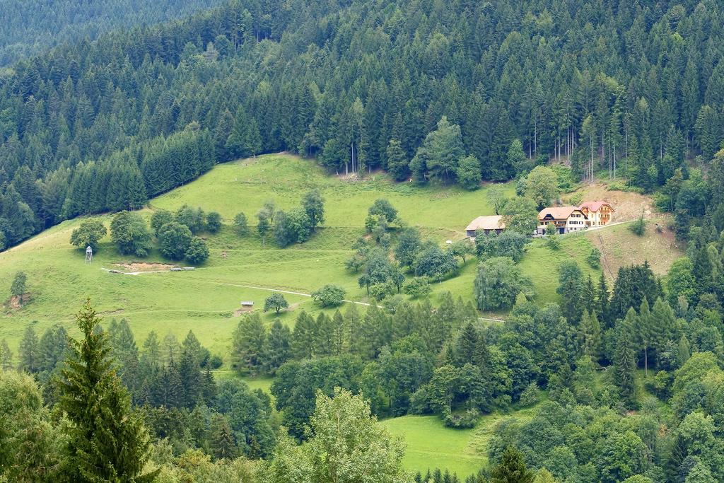 Vila Tourist Farm Arbajter Resnik Exteriér fotografie