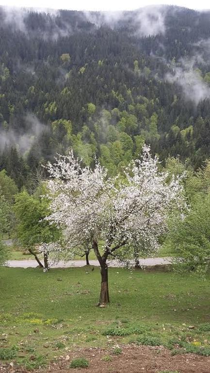 Vila Tourist Farm Arbajter Resnik Exteriér fotografie