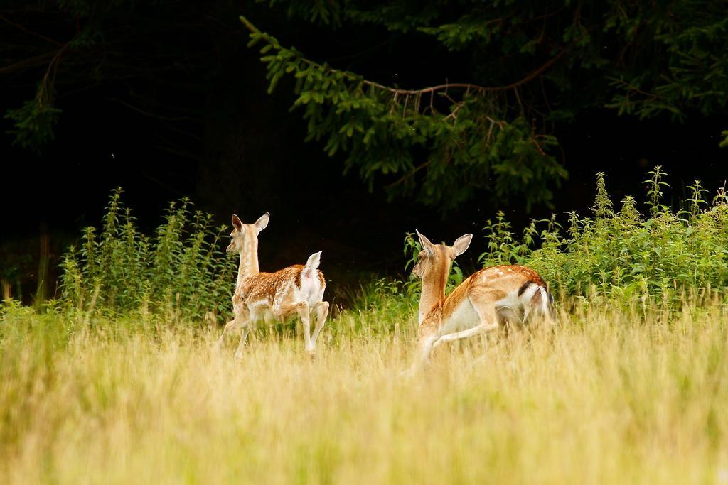 Vila Tourist Farm Arbajter Resnik Exteriér fotografie